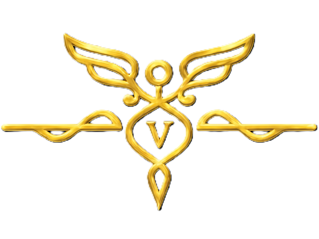 Valley Ride NEMT logo